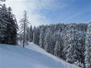 Sella di Camplasco (fonte: CAI Varallo Sesia)