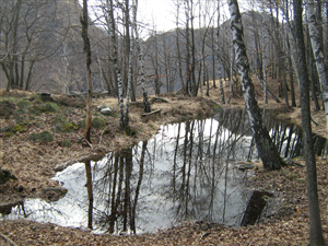 Giavinali di Cravagliana - ...